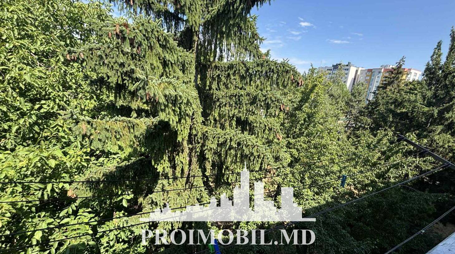 https://images.proimobil.md/3WMNnQayJx7X8wc8UjZqQGL62Wdung4Suly4FTPxBQw/watermark:0.75:so:0:30:0.39/resize:fill:1460:816:1/gravity:ce/bG9jYWw6Ly8vZXN0YXRlL2xyLzFmYmU2NmYyLTUxYjgtNDRiMS1iZGExLThhNWIwNjI5YWY2YS5qcGVn