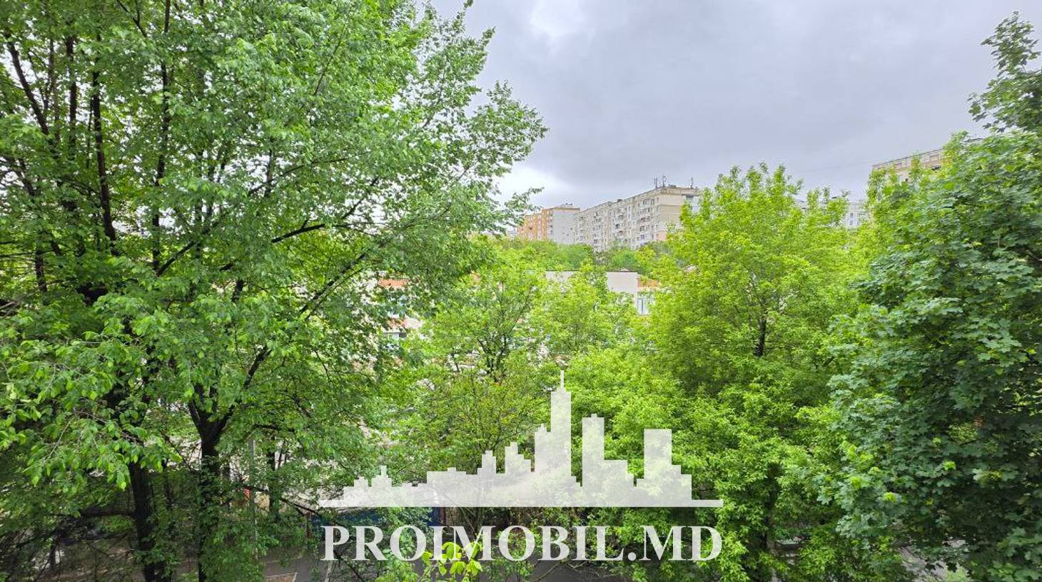 https://images.proimobil.md/4CgR-31xqcuqZhEHzp9uF0PF_7w0lv2t0U8qEPUuUco/watermark:0.75:so:0:30:0.39/resize:fill:1460:816:1/gravity:ce/bG9jYWw6Ly8vZXN0YXRlL2xyLzdmMDRmNTk2LTc0MmQtNDUxZS1iYTEwLTUwY2UzZDYyMzIyNi5qcGVn