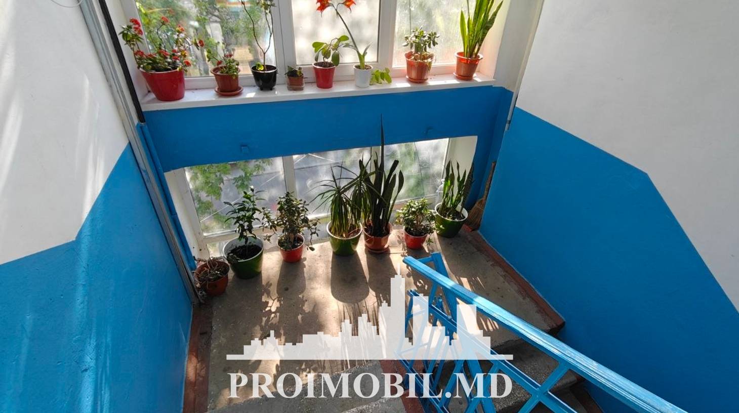 https://images.proimobil.md/545KeIMBsGPYkq-fU6GHLyXYMlmWTekw1vaBAclQeOo/watermark:0.75:so:0:30:0.39/resize:fill:1460:816:1/gravity:ce/bG9jYWw6Ly8vZXN0YXRlL2xyL2JiMGM2OTM1LWRmZmMtNDJlZC1hN2IyLWM3NmQxNzRjNDdmYy5qcGVn