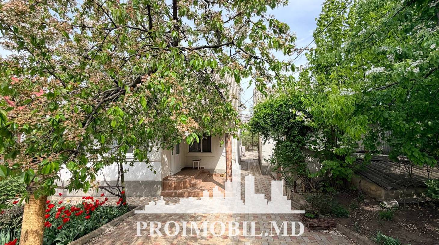 https://images.proimobil.md/8KIMLAO-8WEjGjJAklWaW2fMrTG9YHMOxsS5T06wK8A/watermark:0.75:so:0:30:0.39/resize:fill:1460:816:1/gravity:ce/bG9jYWw6Ly8vZXN0YXRlL2xyLzVjMDc5NjY2LTJjNTgtNDI1NS1hMDIyLTExYTM0MGIzMTFkYS5qcGVn