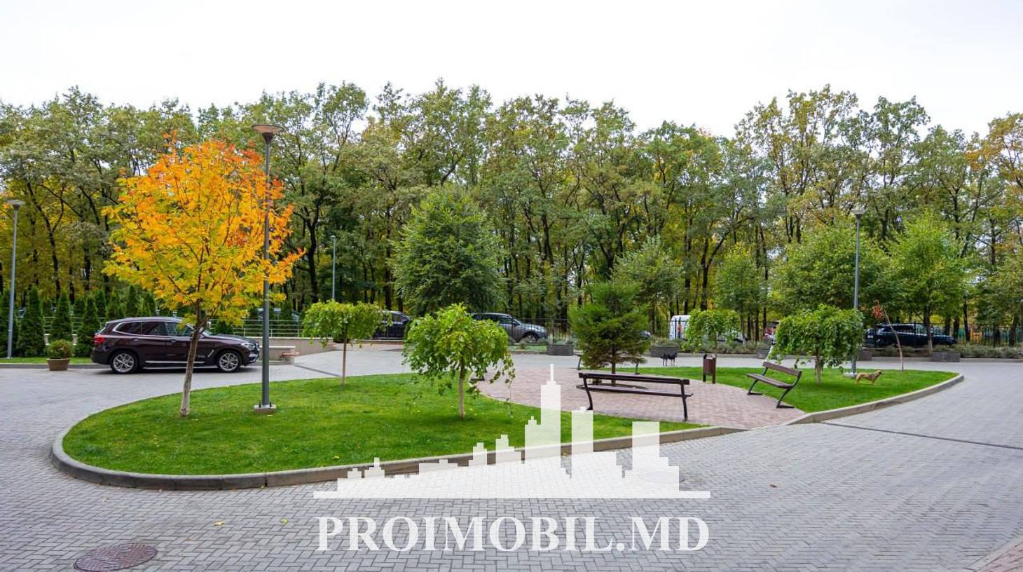 https://images.proimobil.md/8dwW-G4rjPUBrQTEn7VGqULQDZS26LHwlav513kxfl4/watermark:0.75:so:0:30:0.39/resize:fill:1460:816:1/gravity:ce/bG9jYWw6Ly8vZXN0YXRlL2xyLzFkYzgxODU5LTFkM2MtNDAyOS05ZjZlLTNiOWMwN2VhYzA0MC5qcGVn