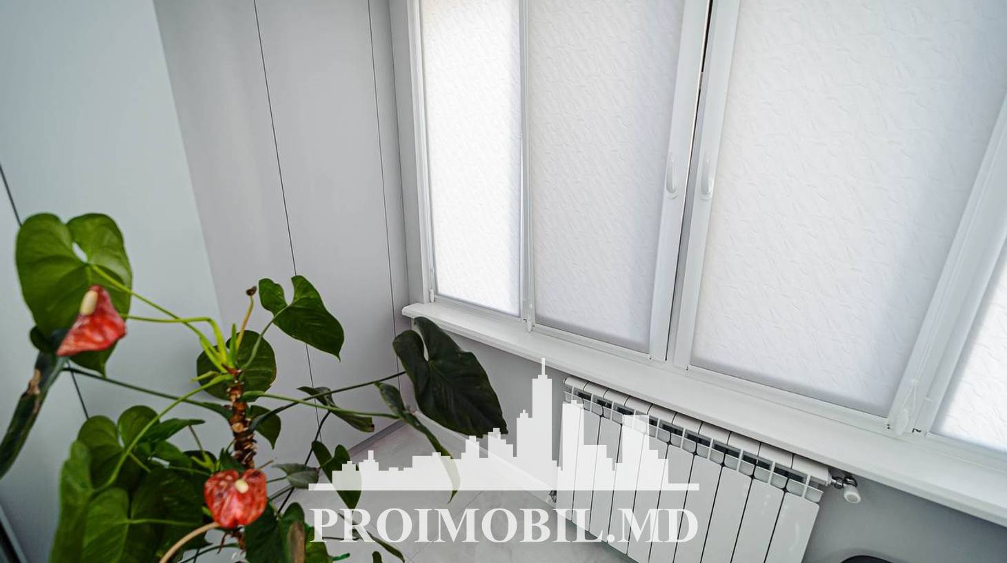 https://images.proimobil.md/94Gvukie5n5LgzvitqdKILGnCzx95t0GNRl9X05RKns/watermark:0.75:so:0:30:0.39/resize:fill:1460:816:1/gravity:ce/bG9jYWw6Ly8vZXN0YXRlL2xyLzI1YjI0MzAwLTU2NTItNDVhYS1hMDJlLTgyZmFjYjM4M2E0Zi5qcGVn