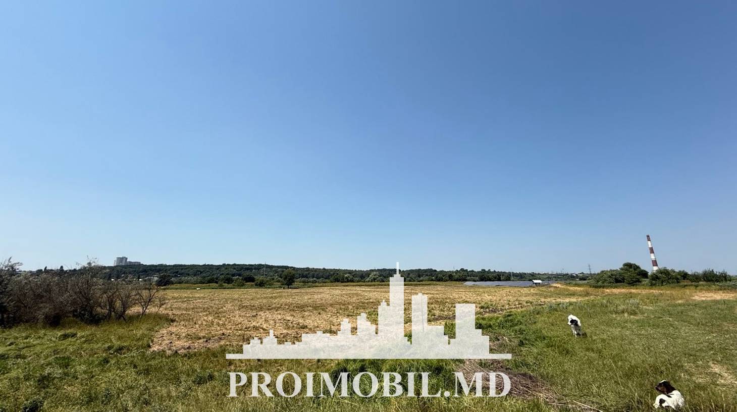 https://images.proimobil.md/Af1Nw7-buqhQCbERczcayPTUNSmEg0SzILKamEQBMC0/watermark:0.75:so:0:30:0.39/resize:fill:1460:816:1/gravity:ce/bG9jYWw6Ly8vZXN0YXRlL2xyLzk0NTRlZGYyLWEwODItNGUzOC05NTQxLWNhZTVjMDBhMGFiNi5qcGVn