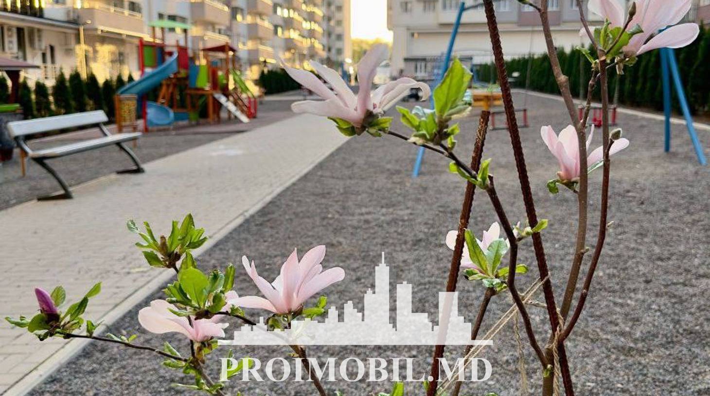 https://images.proimobil.md/DE7Ns416yz46al_ZKtTmPhPxhqzoi_S8FYtNBWUXFvY/watermark:0.75:so:0:30:0.39/resize:fill:1460:816:1/gravity:ce/bG9jYWw6Ly8vZXN0YXRlL2xyLzJlOWZkNjRmLTY2MzUtNGRlNi04NGY1LWJiMjU5MzFmM2RhNS5qcGVn