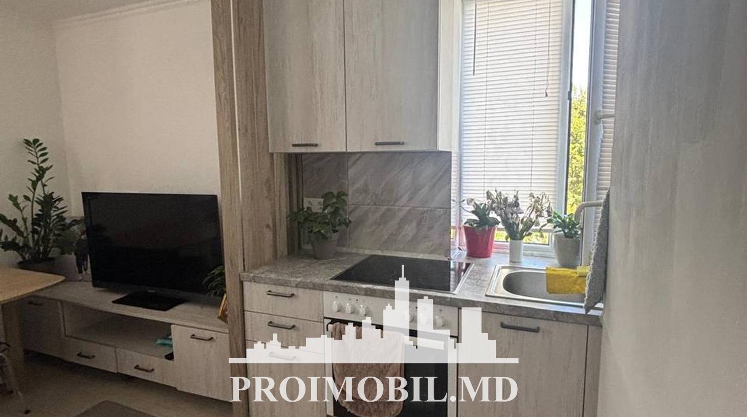 https://images.proimobil.md/F8DukV0vUBxOI40zkkPjnc2mh9sL5dzzLc7afwIMgDI/watermark:0.75:so:0:30:0.39/resize:fill:1460:816:1/gravity:ce/bG9jYWw6Ly8vZXN0YXRlL2xyL2NlNjQxMTM5LTk3YmQtNDIwOC1iMDkzLWZiMDRlOTg4ODZlYS5qcGVn