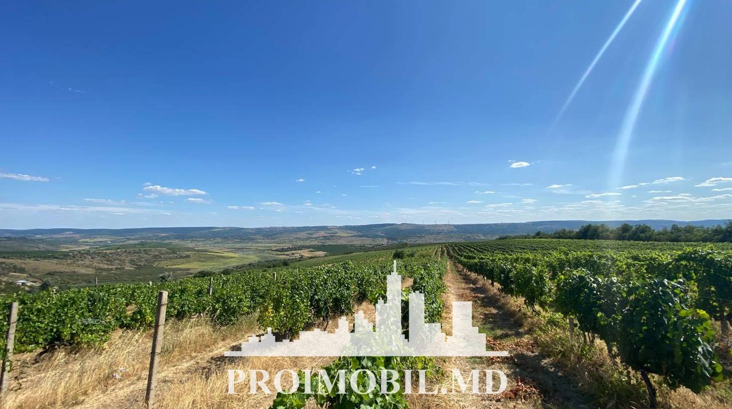 https://images.proimobil.md/Hf3Ja23-UM5Pq3rAFd0TeCUgB6No3x9Tku4P70_NgUE/watermark:0.75:so:0:30:0.39/resize:fill:1460:816:1/gravity:ce/bG9jYWw6Ly8vZXN0YXRlL2xyLzE1ZmVkMjQzLTk5MDEtNDIwNS05NWE5LTFiZTlmNTY0OWI0Mi5qcGVn