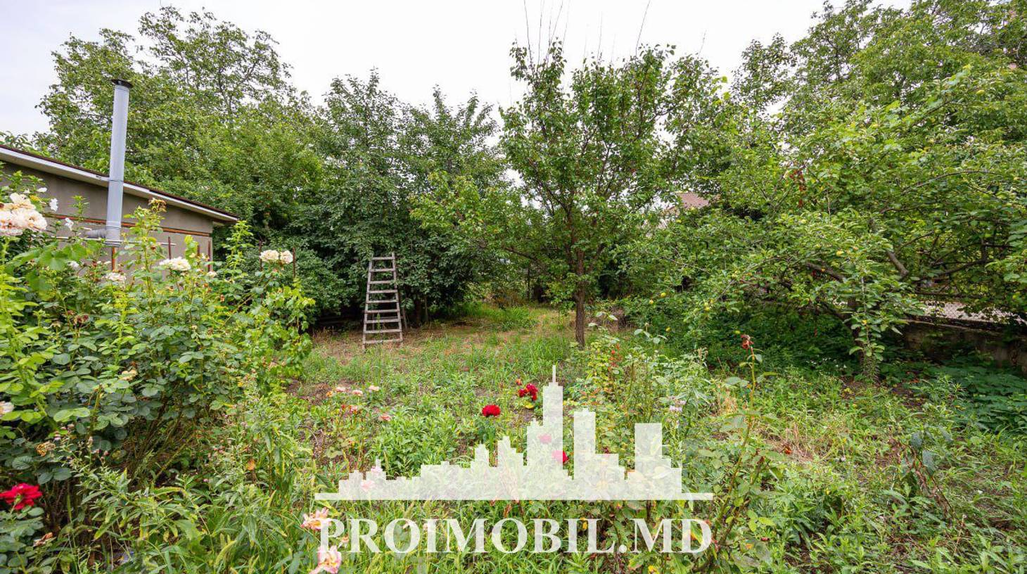 https://images.proimobil.md/IGBSQql0wsYIu5WyQvLyKbjZAPOVv7LKX3RTNeGd8YI/watermark:0.75:so:0:30:0.39/resize:fill:1460:816:1/gravity:ce/bG9jYWw6Ly8vZXN0YXRlL2xyLzEwYzhkMmIxLWE4MDktNGMwYy1iOGNhLWI1NTk0MzdiMDg4Ni5qcGVn