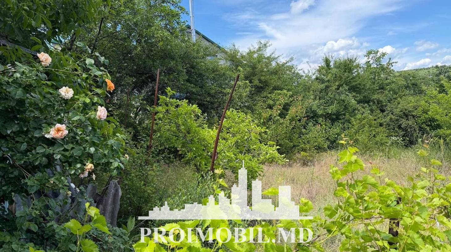https://images.proimobil.md/KFhMTN8yT8uBT-6FmM5PSoS7gXZHLkU2EqHdbqB2vvY/watermark:0.75:so:0:30:0.39/resize:fill:1460:816:1/gravity:ce/bG9jYWw6Ly8vZXN0YXRlL2xyL2M0OTI2MDhlLWM3N2ItNGRkOC04ZTcwLTRkMGUyOGM2YTE1Ny5qcGVn