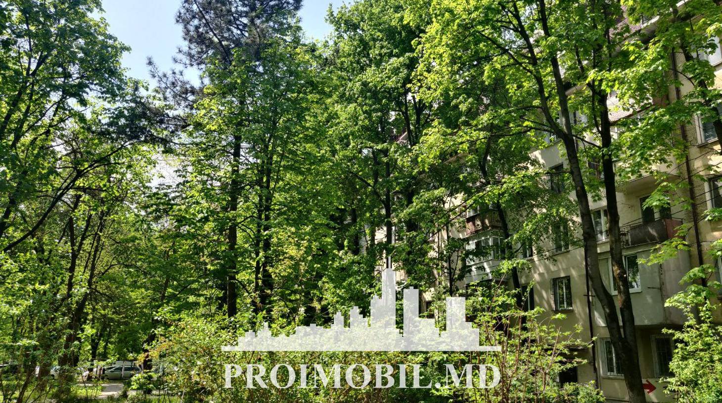 https://images.proimobil.md/QseuGAAmc0fifr50uiGj_vHbCzukIOyeK2DD7A0E18s/watermark:0.75:so:0:30:0.39/resize:fill:1460:816:1/gravity:ce/bG9jYWw6Ly8vZXN0YXRlL2xyLzg2ZmJlNDVlLTk2ZDYtNGE5OC05NmY0LTE5YTYzZmViNzJlZi5qcGVn