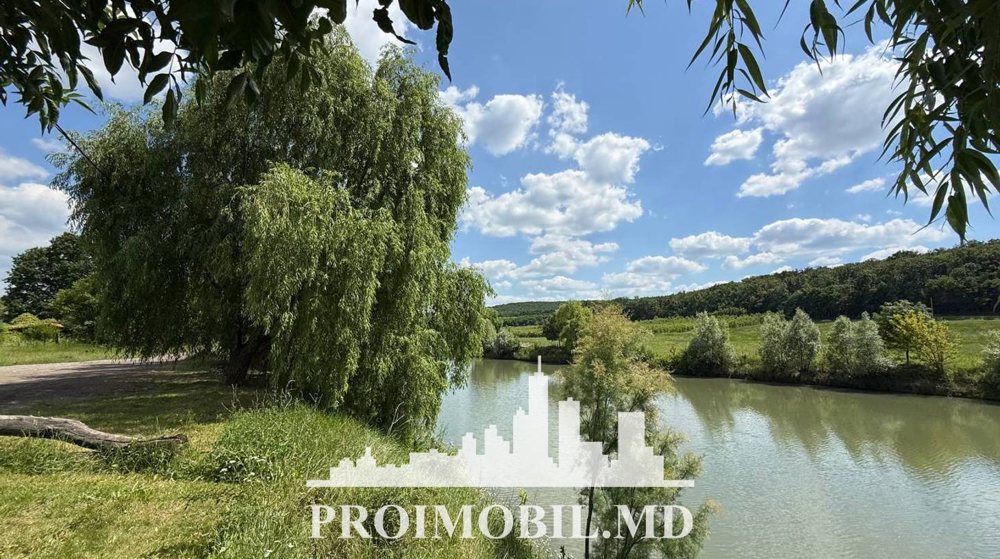 https://images.proimobil.md/Rq5QRInW8EAHr3JlLpVfXv7VNrfuNoqWdx7TW_azF-s/watermark:0.75:so:0:30:0.39/resize:fill:1460:816:1/gravity:ce/bG9jYWw6Ly8vZXN0YXRlL2xyLzFhMDgwYzg0LWMyMTEtNDk2ZS04MGEzLTNlZGRiYjBlYzMyOC5qcGVn