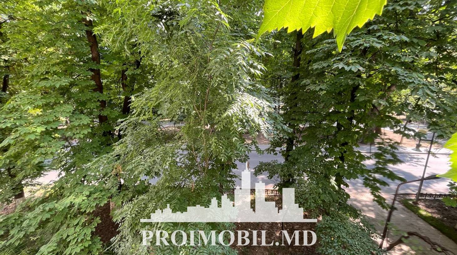 https://images.proimobil.md/XiGo-zZA_hQGb44Ewnjyj6OzbtphirsZNTRTsAsV1Q8/watermark:0.75:so:0:30:0.39/resize:fill:1460:816:1/gravity:ce/bG9jYWw6Ly8vZXN0YXRlL2xyLzVlMzJmZTA4LTEyZTMtNGU1NS1hZDY4LWQ5MThlZWI5MDk1Ny5qcGVn