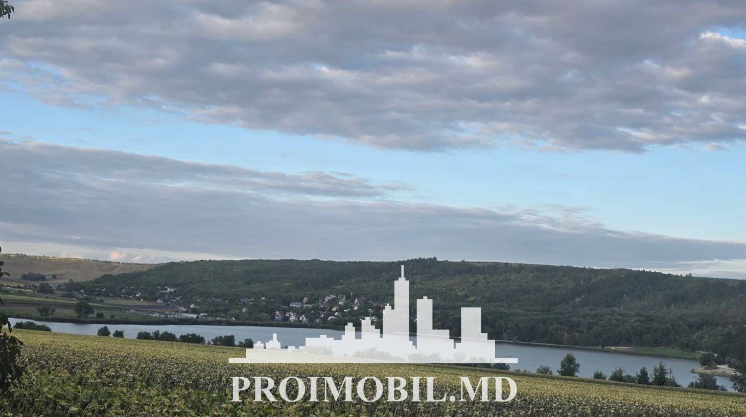 https://images.proimobil.md/ZozOiAznbCZMCe7nQcZRN3fp9Tnz08nsQ1XlJIrRh4w/watermark:0.75:so:0:30:0.39/resize:fill:1460:816:1/gravity:ce/bG9jYWw6Ly8vZXN0YXRlL2xyLzdlYjIxMjgxLTcxNzktNGI0My05YjkwLThhMTA3NDdmZWNiYi5qcGVn
