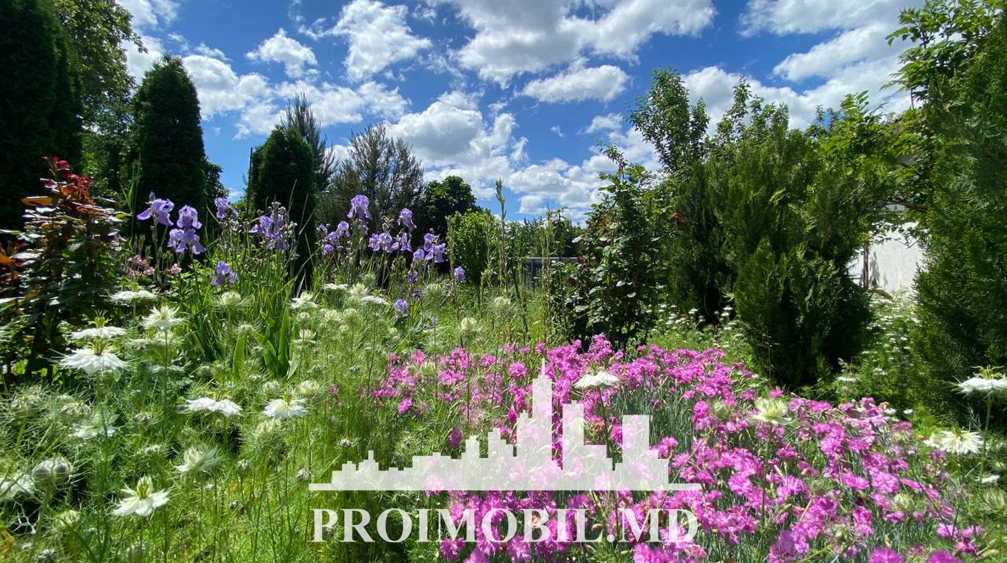 https://images.proimobil.md/f5RLQZ4gKmo_DQZjvzWA3ioU5u-9L5Gq3VHpYbaiDAY/watermark:0.75:so:0:30:0.39/resize:fill:1460:816:1/gravity:ce/bG9jYWw6Ly8vZXN0YXRlL2xyLzIwNzk0OGI5LTg1MWEtNDA3Ny1hOTQxLWNhNmM4YTEzMzBmNC5qcGVn