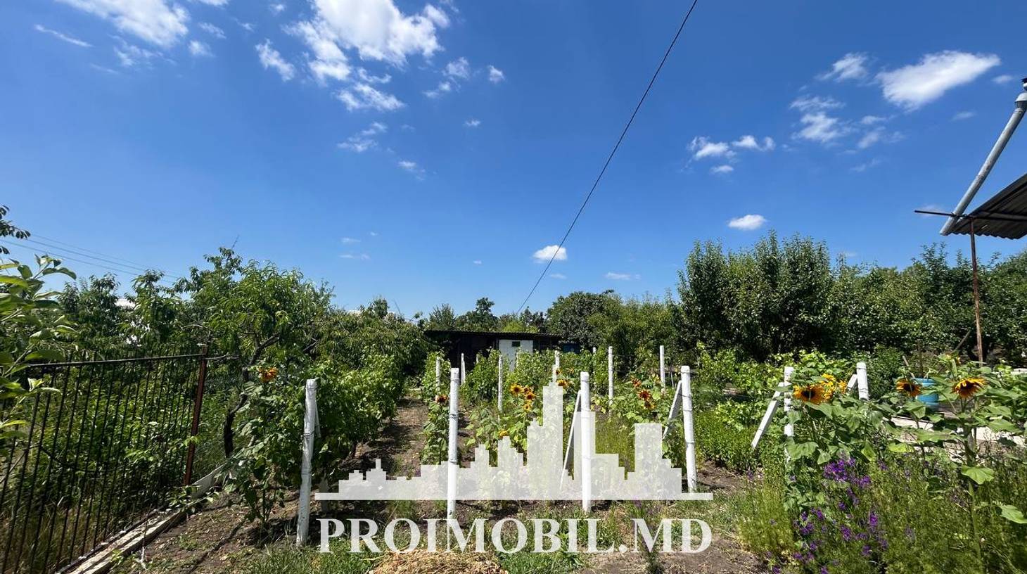 https://images.proimobil.md/i0JSyBf6YINeTzLnZ49C4V-eeZawPMvu0HgrDDUi_VI/watermark:0.75:so:0:30:0.39/resize:fill:1460:816:1/gravity:ce/bG9jYWw6Ly8vZXN0YXRlL2xyL2Y4NDg0NGQ0LWU3YzItNDU4Ni1hM2JjLTYzOGM2ZmEwMzI0Yi5qcGVn