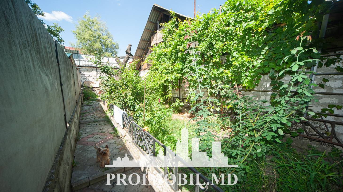 https://images.proimobil.md/japPBQg9zRvrj5yq-2F56Amb5kkYblAnXpPgIE2dt4E/watermark:0.75:so:0:30:0.39/resize:fill:1460:816:1/gravity:ce/bG9jYWw6Ly8vZXN0YXRlL2xyLzhhZGQ1YTFmLTk1OTctNGNkOS04M2Q2LTY3YTQ1NTU0NjUzNC5qcGVn