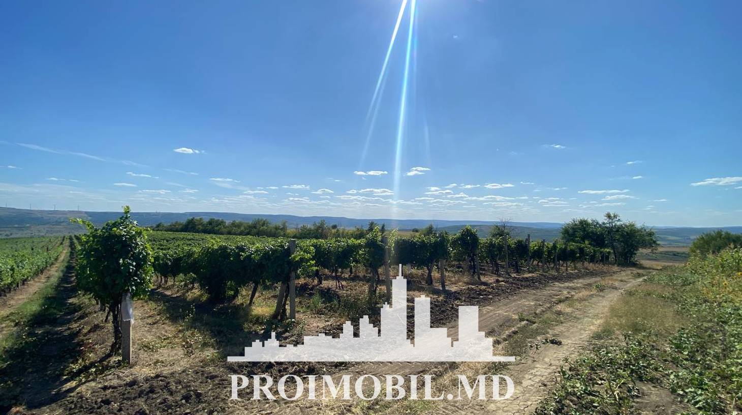 https://images.proimobil.md/loZ_b_yCk7coE3QWRzSLCWvaP0PrzqqhvJzfFN_UN7Y/watermark:0.75:so:0:30:0.39/resize:fill:1460:816:1/gravity:ce/bG9jYWw6Ly8vZXN0YXRlL2xyL2E2NmEyZGFiLWZjNTQtNDVhZi05NTdkLTJiMTE4NzdjOTJmNC5qcGVn