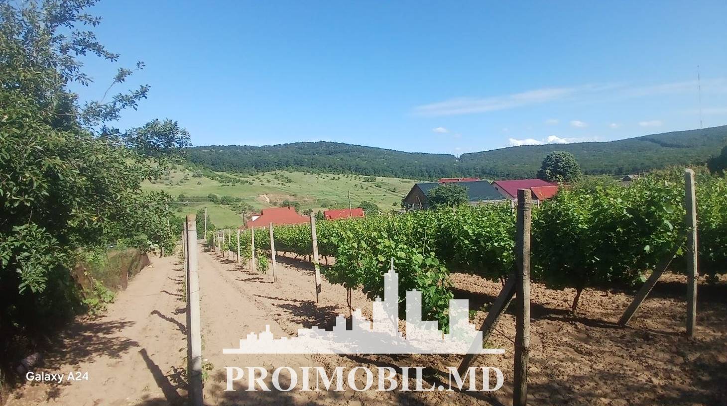 https://images.proimobil.md/uLxSte5vj6WSq8slkJRGU8345sygltr38VLnXcChX7c/watermark:0.75:so:0:30:0.39/resize:fill:1460:816:1/gravity:ce/bG9jYWw6Ly8vZXN0YXRlL2xyLzE2YWNkNDk0LTNkNzEtNGM1Ni1hMjRhLWM4YjBjODZlYzU2Ni5qcGVn