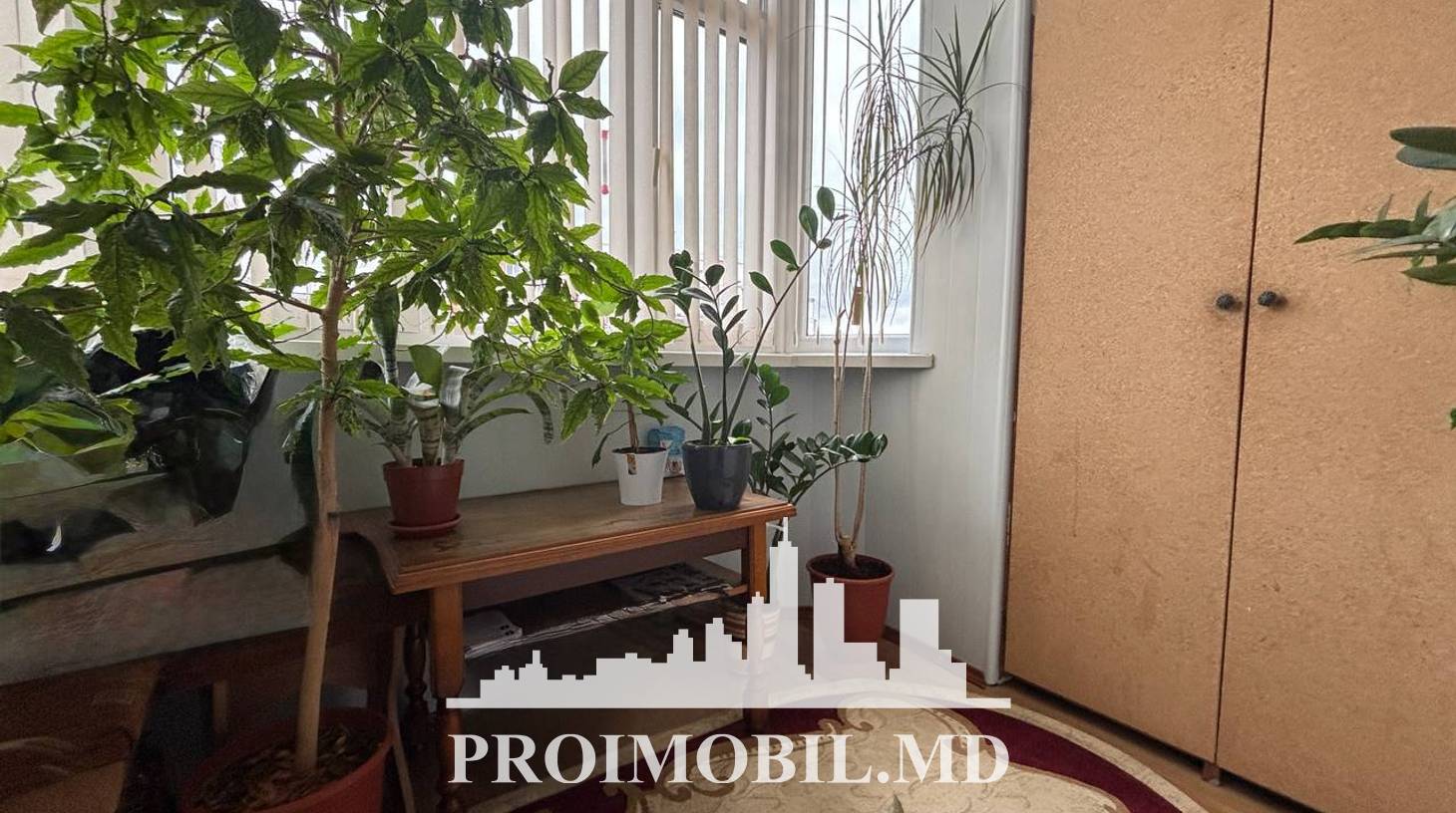 https://images.proimobil.md/uPVz9ocux3rK7W_md5ORDBW5edvUywQ0evr5n6Oi1R0/watermark:0.75:so:0:30:0.39/resize:fill:1460:816:1/gravity:ce/bG9jYWw6Ly8vZXN0YXRlL2xyL2U3ZDFlOTE4LWQ1ZTgtNGIxMy04OTAzLWY1N2Y1N2U5N2ZkOC5qcGVn