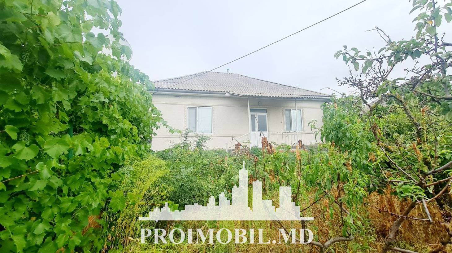 https://images.proimobil.md/uW14S7W0Y9XKkEIwPv4nncsWLjyq8ZtcsANbNZlydAg/watermark:0.75:so:0:30:0.39/resize:fill:1460:816:1/gravity:ce/bG9jYWw6Ly8vZXN0YXRlL2xyLzUzOWJhYWJjLTdmZDgtNGExZC05ZWU0LTM5MjRmMjEzMGQ1Ny5qcGVn