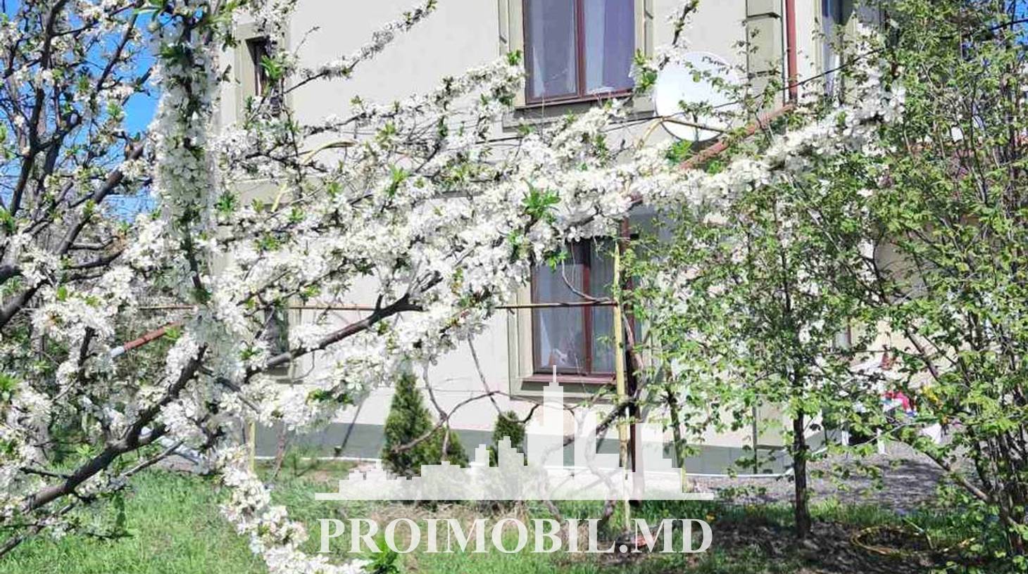 https://images.proimobil.md/yu1QL_Ar8PNInmA5V7hIqnwRH_XOf0IadbwQciuql0g/watermark:0.75:so:0:30:0.39/resize:fill:1460:816:1/gravity:ce/bG9jYWw6Ly8vZXN0YXRlL2xyL2JhMDFjMWZlLWQ5NGQtNDQ3Ny1hZTk0LWEzNzI1NDc5MmIzZS5qcGVn
