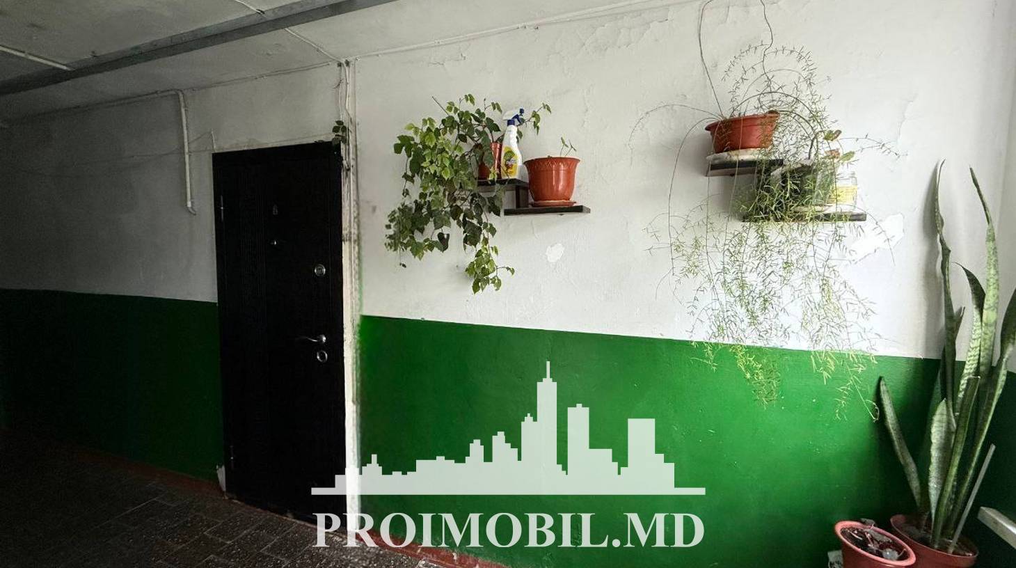 https://images.proimobil.md/zBLj_dgt7Urlcjq-sZhhwh0GtHoefB1utZbCVlJZ6Uc/watermark:0.75:so:0:30:0.39/resize:fill:1460:816:1/gravity:ce/bG9jYWw6Ly8vZXN0YXRlL2xyLzE3MDQ1MjgzLWEyNzctNGNkOC05NTU5LTZhMzc1ZWE1MGE2Yi5qcGVn
